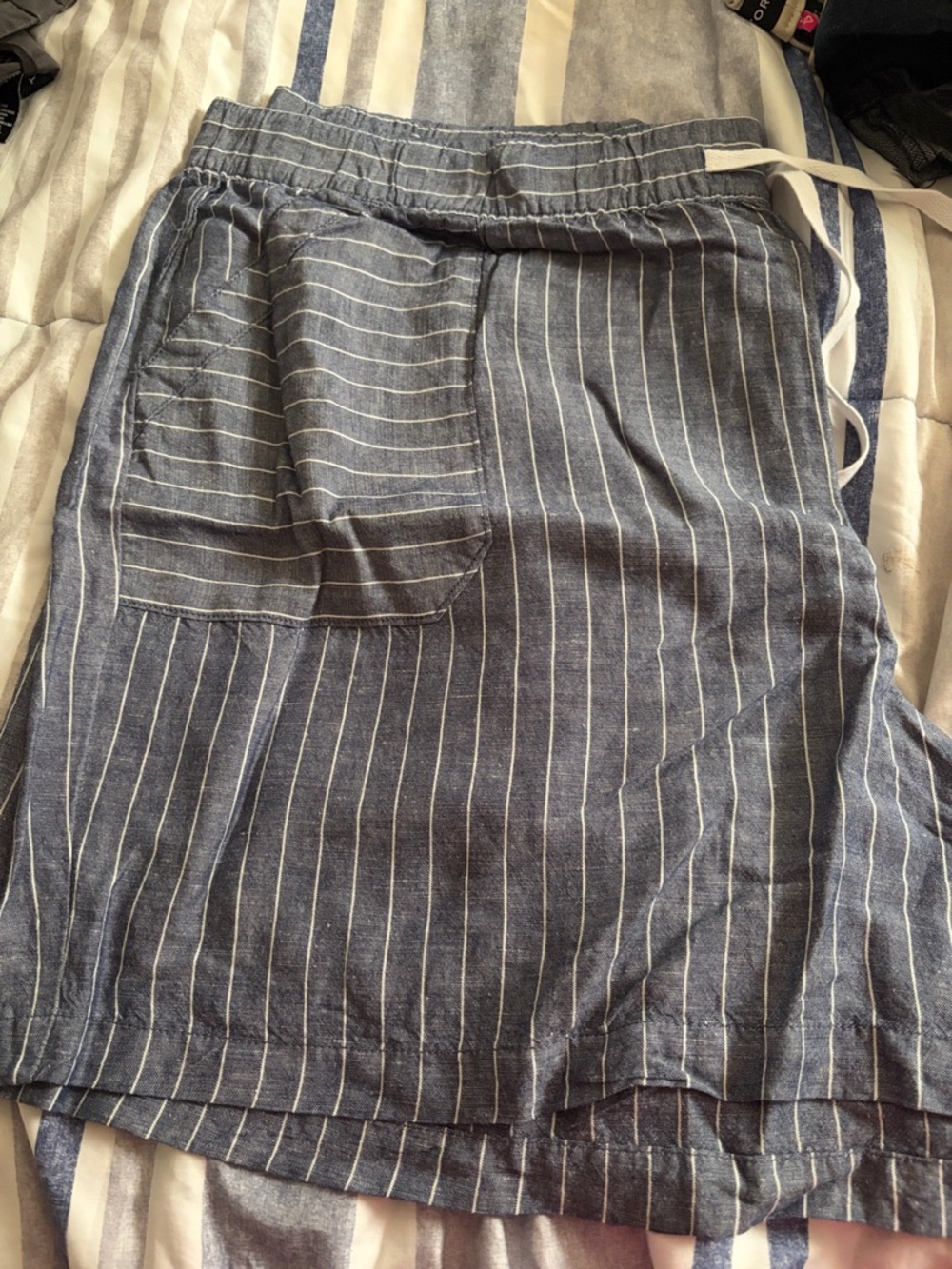 Lane Bryant Blue Pinstripe Flat Front Shorts